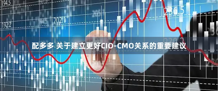 配多多 关于建立更好CIO-CMO关系的重要建议