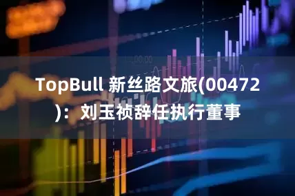 TopBull 新丝路文旅(00472)：刘玉祯辞任执行董事