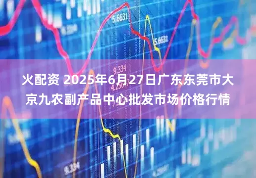 火配资 2025年6月27日广东东莞市大京九农副产品中心批发市场价格行情