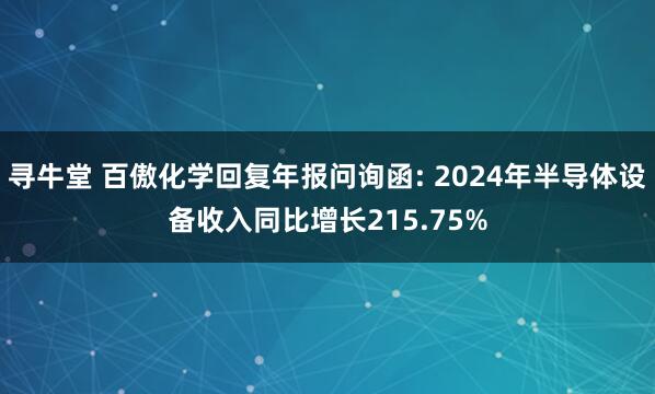 寻牛堂 百傲化学回复年报问询函: 2024年半导体设备收入同比增长215.75%