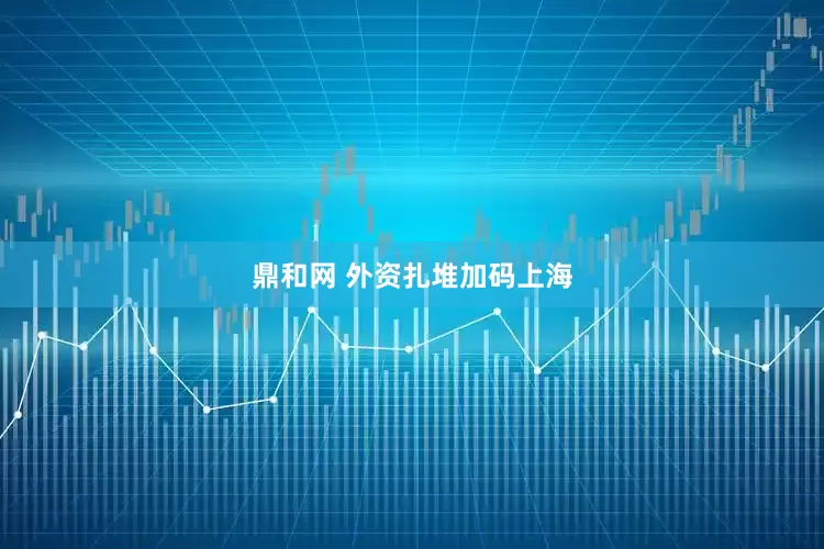 鼎和网 外资扎堆加码上海