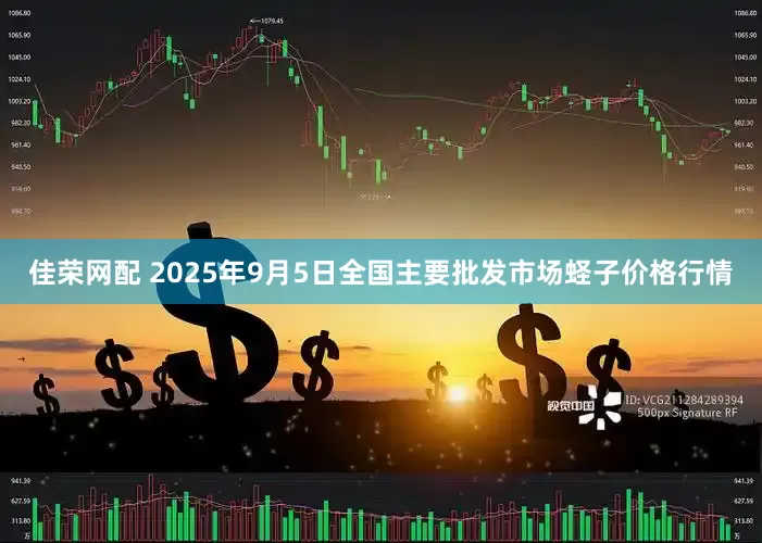 佳荣网配 2025年9月5日全国主要批发市场蛏子价格行情
